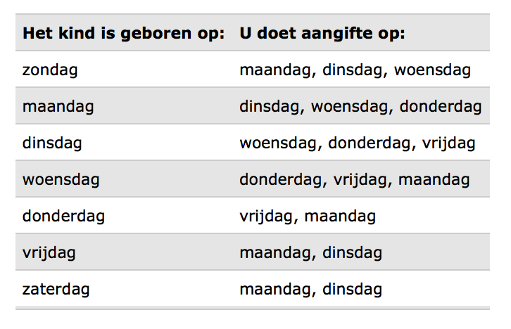 aangifte schema(1)